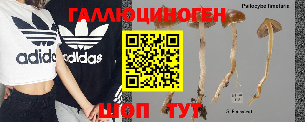 Псилоцибиновые грибы MAGIC MUSHROOMS Клин