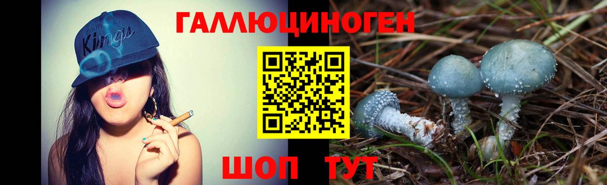 купить закладку  Вход с VPN  Клин  Псилоцибиновые грибы GOLDEN TEACHER 